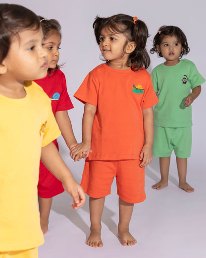 MONKEY - Organic Baby T-shirt & Shorts Co-ord Sets