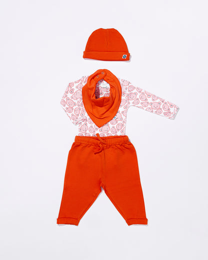 TEDDY - Full Sleeve - Organic Baby Romper - Set of 3